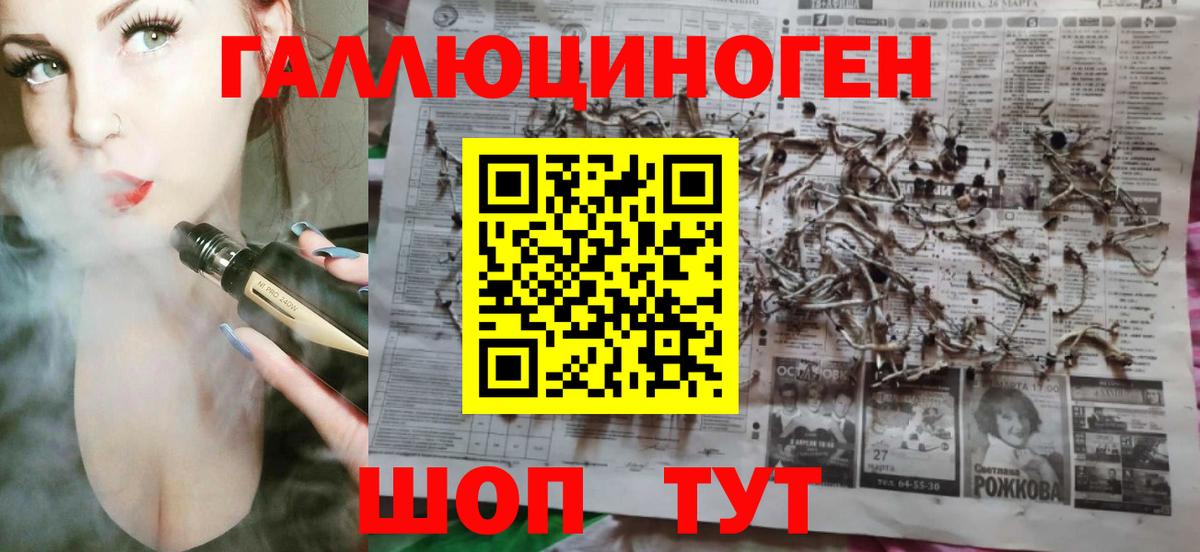 Галлюциногенные грибы Psilocybine cubensis Егорьевск